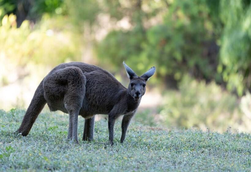 אתר נופש Noble River Estate