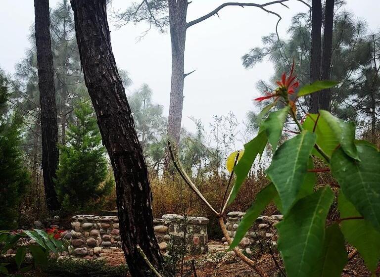 Chillaru Spa & Resort