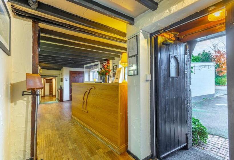 فندق فئة نجمة واحدة The Forest Lodge