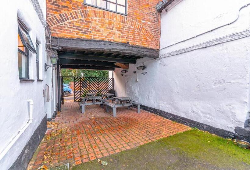 فندق فئة نجمة واحدة The Forest Lodge