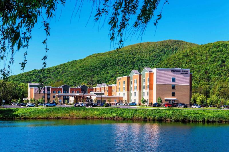 هتل Springhill Suites By Marriott Fishkill