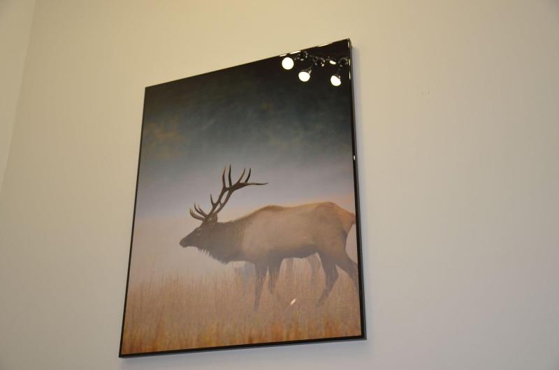 پانسیون Colombo Lodge