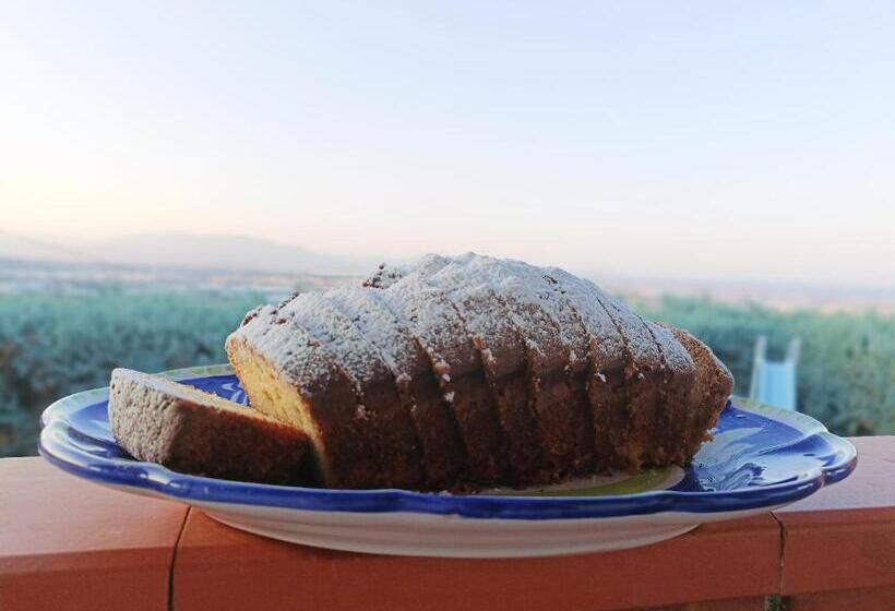 تختخواب و صبحانه Relais Galatea