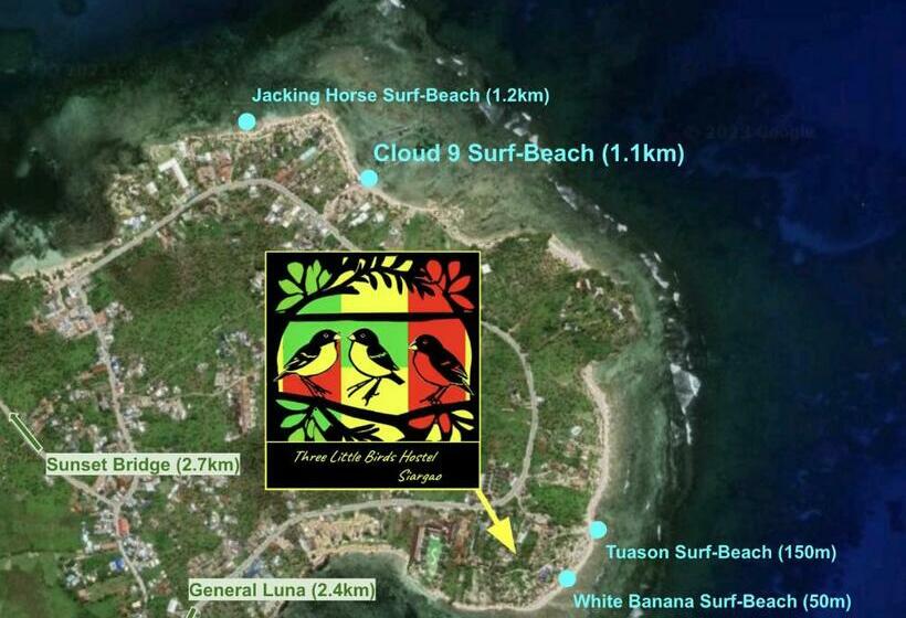Three Little Birds Surf Hostel