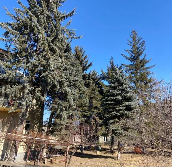 پانسیون Yeghevni Guest House In Odzun