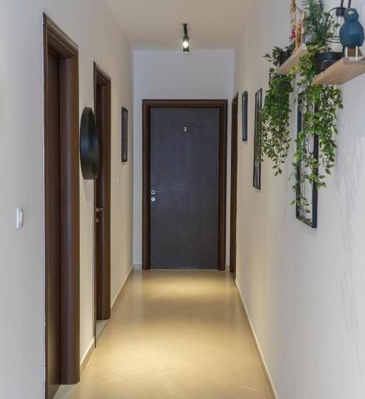 Oleva S Studios