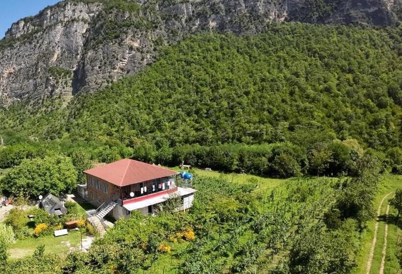 پانسیون Guest House Oasis   Tvishi