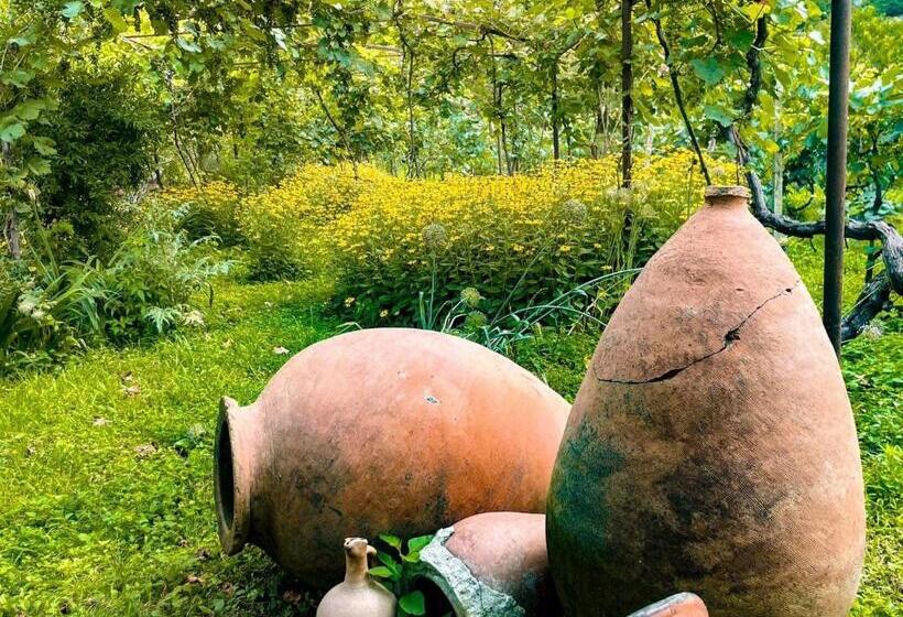 پانسیون Guest House Oasis   Tvishi