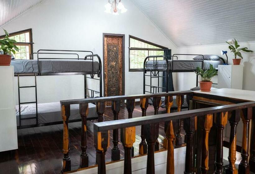 هاستل Mai Ke Kai Surf House