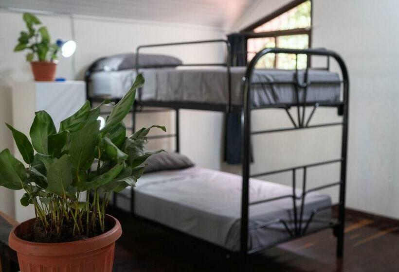 هاستل Mai Ke Kai Surf House