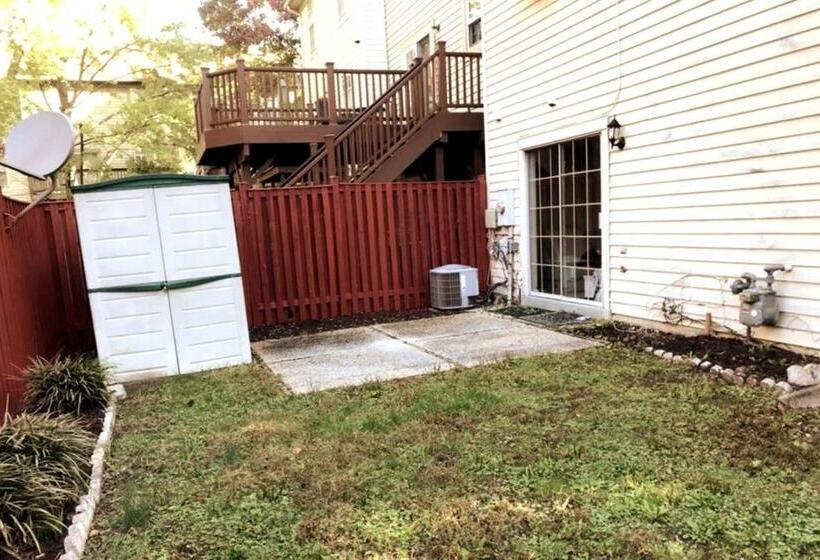 膳宿费 Room In House   The    Modern    Gem