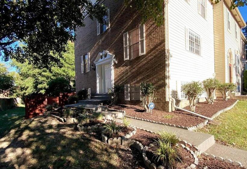 膳宿费 Room In House   The    Modern    Gem