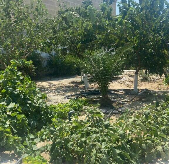 بنسيون Garden View Seaside Guesthouse With Airport Transfer