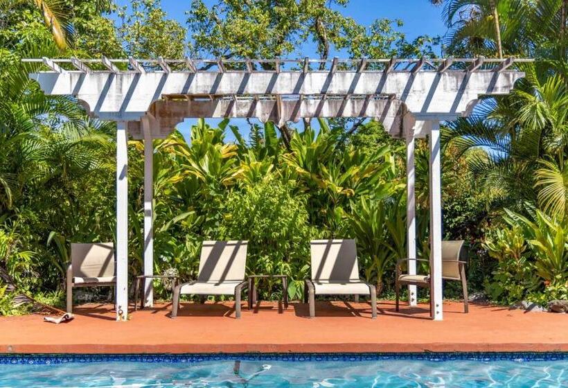 酒店 Gardenia Room On Tropical Lush Farm In Haiku, Maui