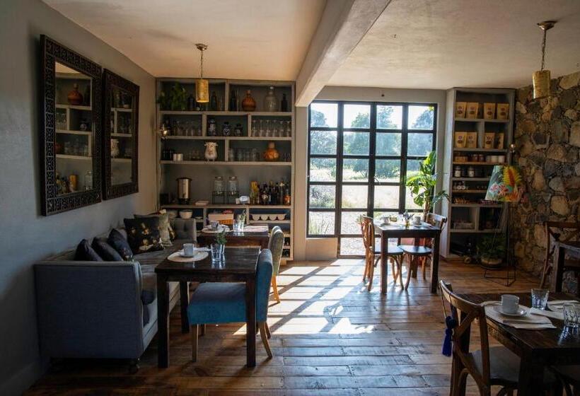 בית מלון כפרי Casa María Campiña