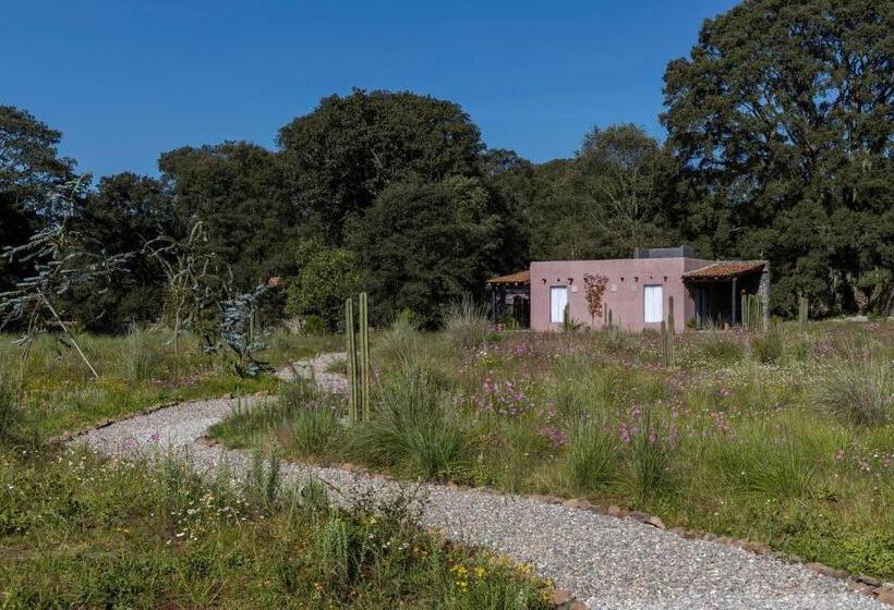 בית מלון כפרי Casa María Campiña