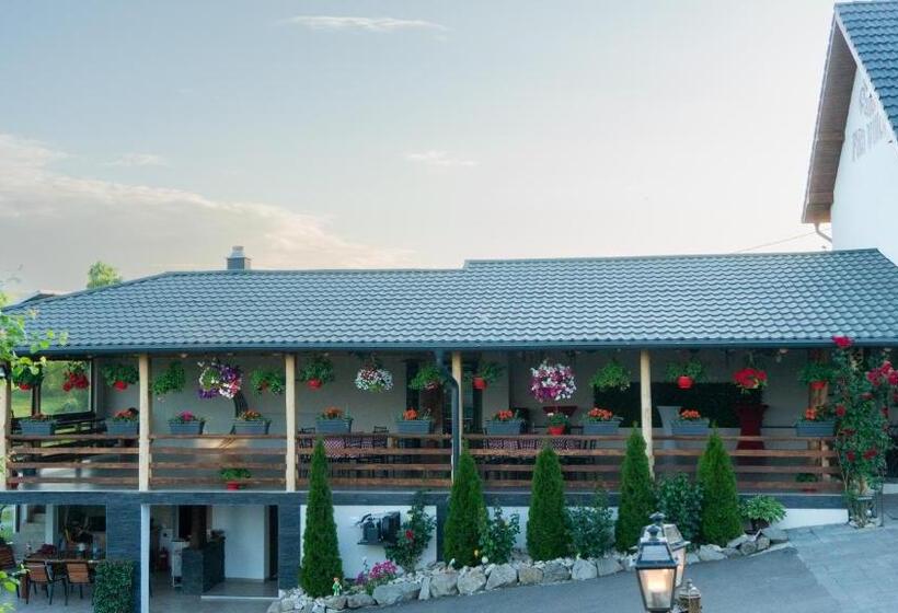 Pensiunea Fata Viilor