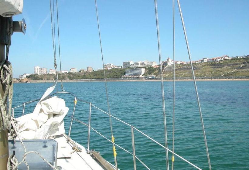 فندق Carlina Lodge