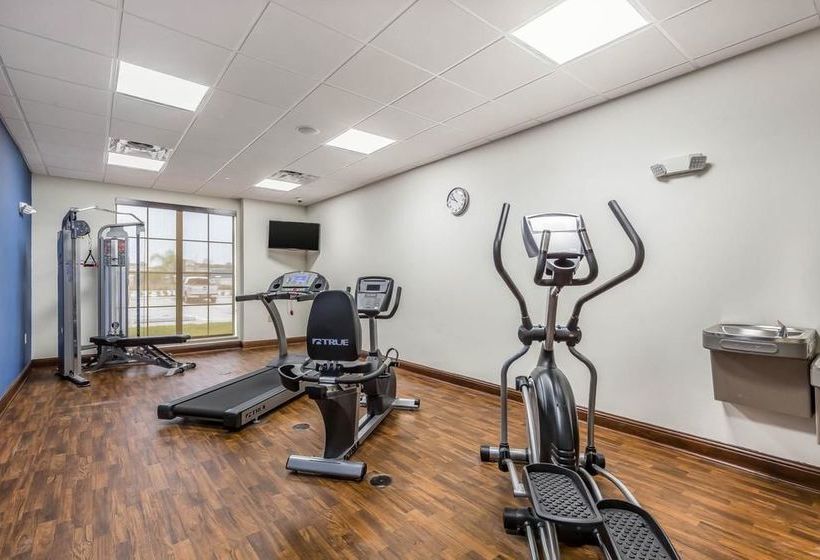 Fotos del hotel Comfort Suites Houston I45 North:  11