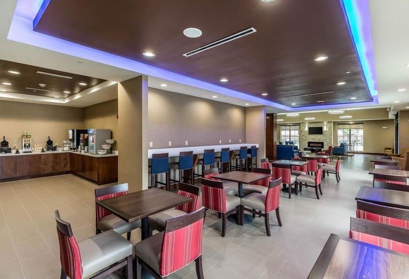 Fotos del hotel Comfort Suites Houston I45 North:  6