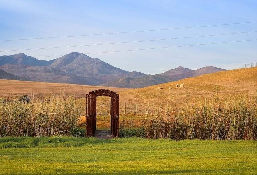 ホテル Endless Vineyards At Wildekrans Wine Estate