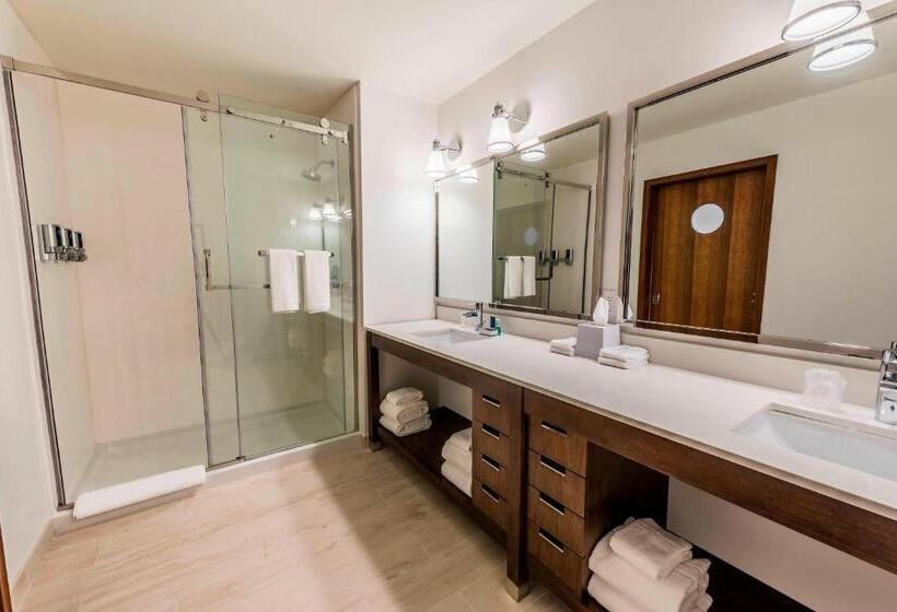 בית מלון כפרי Four Points By Sheraton Houston Energy Corridor