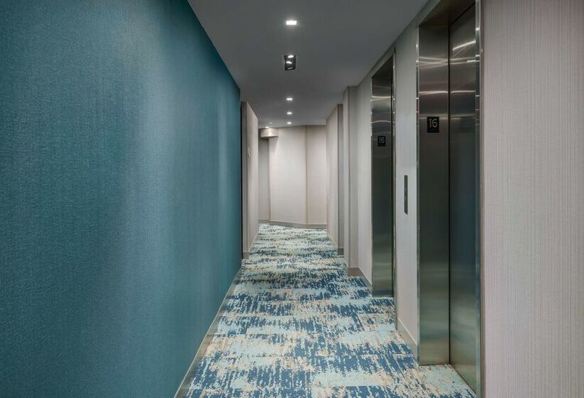 Fotos del hotel Hilton Garden Inn New York Times Square North:  60