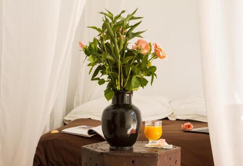 Fotos del hotel Riad Dar Thalge:  25