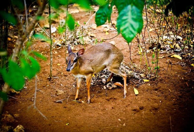 فندق Samaki Lodge