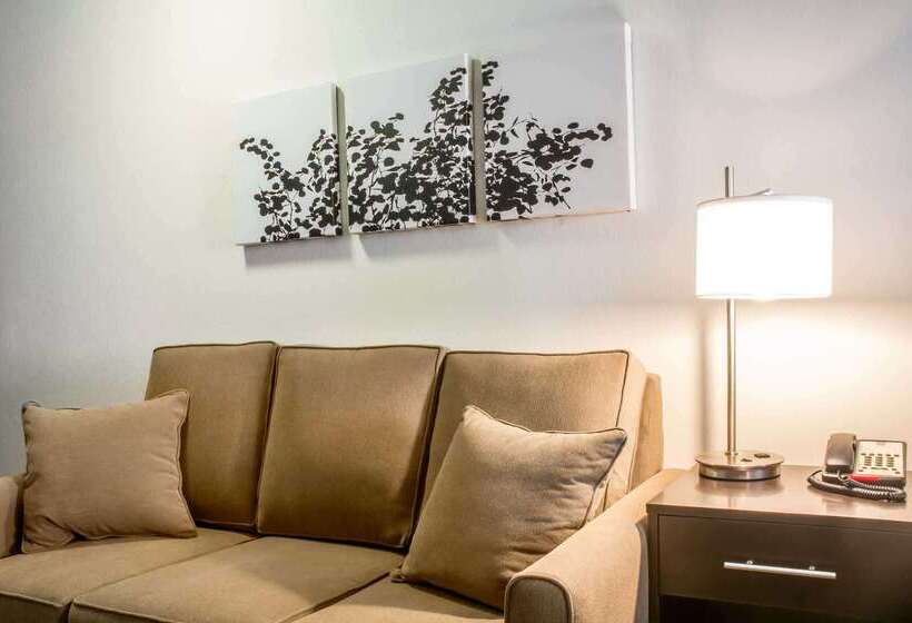 هتل Sleep Inn & Suites East Syracuse