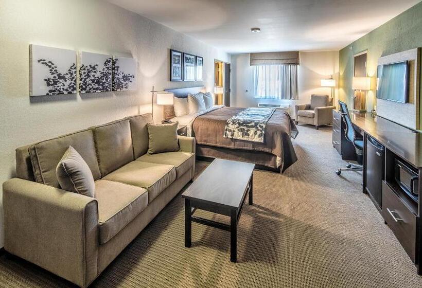 هتل Sleep Inn & Suites East Syracuse