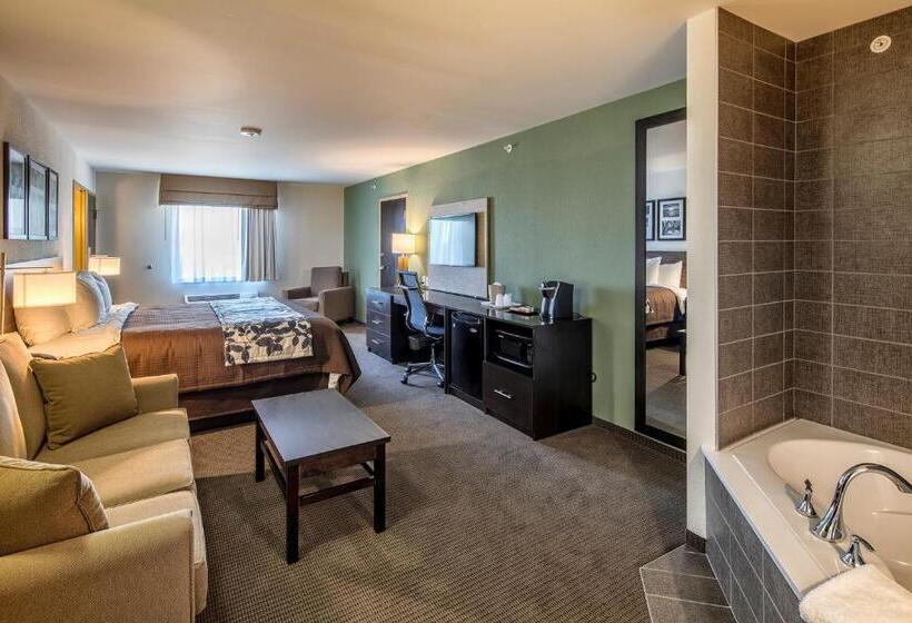 هتل Sleep Inn & Suites East Syracuse