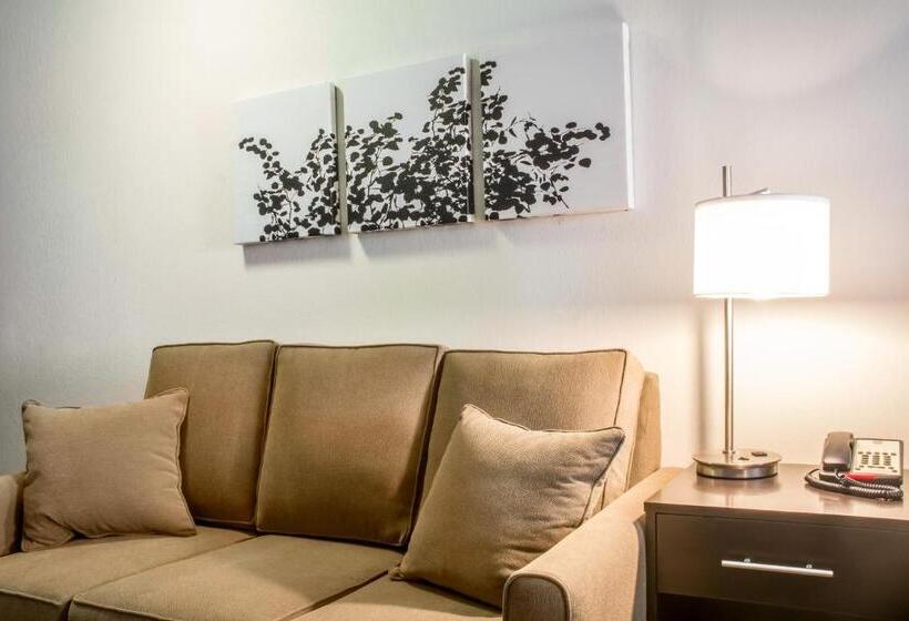 هتل Sleep Inn & Suites East Syracuse