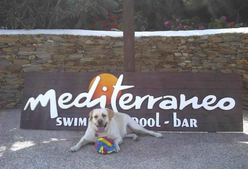 Mediterraneo