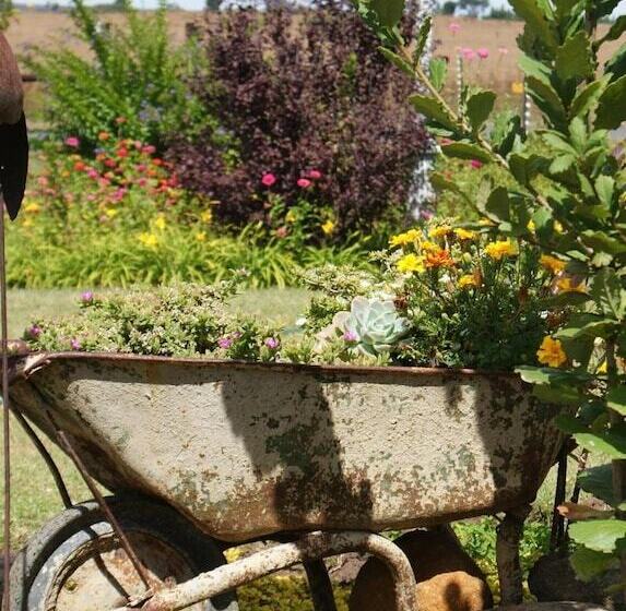 פנסיון Mountain View Guest House