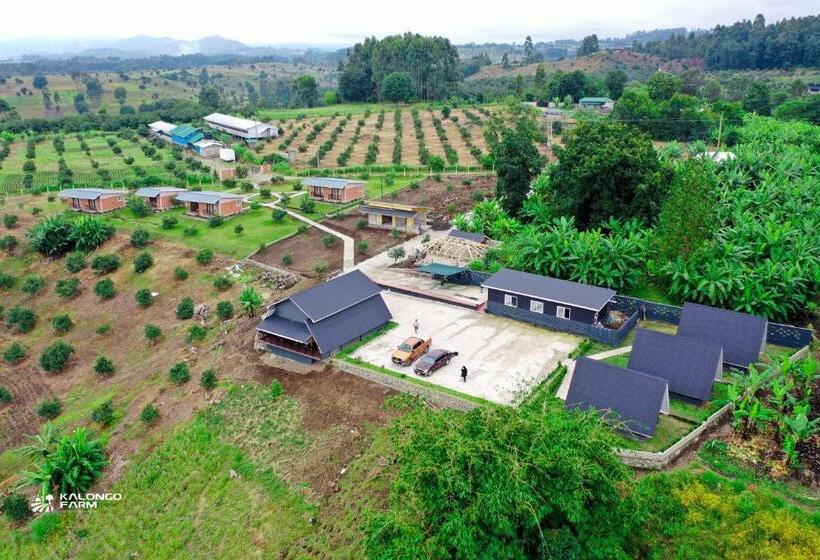בית מלון כפרי Kalongo Farm Ecosystem Homes