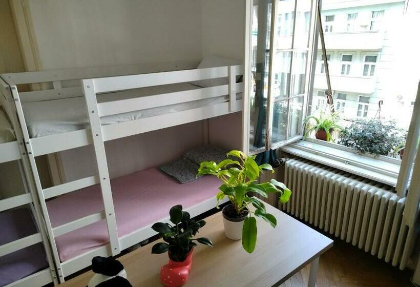 هاستل Monica S House