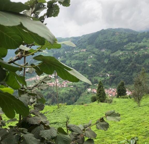 تختخواب و صبحانه şeni Bungalow
