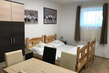 تختخواب و صبحانه Tó Party Apartman