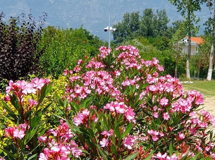 هتل Nerium Garden Inn Tirana Airport