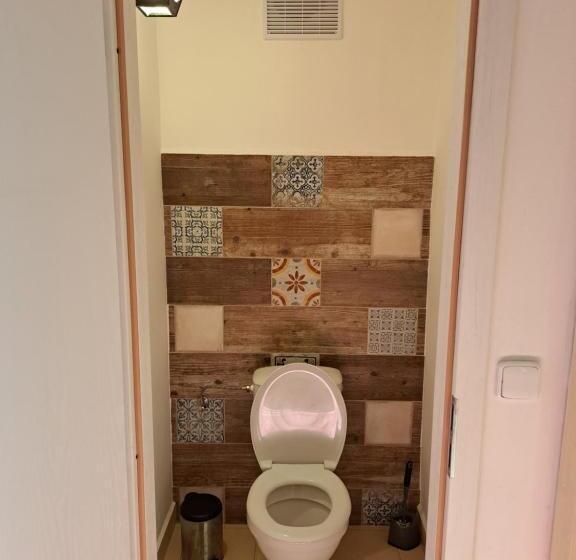 پانسیون Statek 100dola