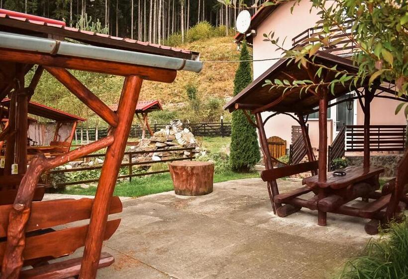 膳宿费 Complex Caprioara Toplita