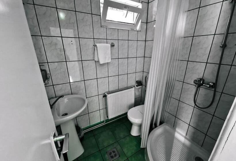 膳宿费 Complex Caprioara Toplita