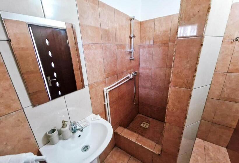 膳宿费 Complex Caprioara Toplita