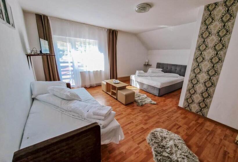 膳宿费 Complex Caprioara Toplita