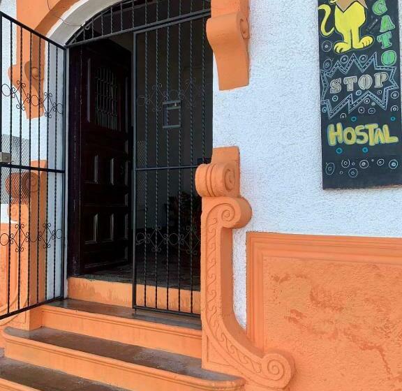 هاستل Hostal Don Gato