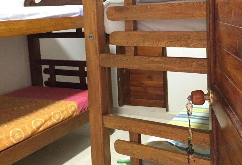 پانسیون Alkimia Beach