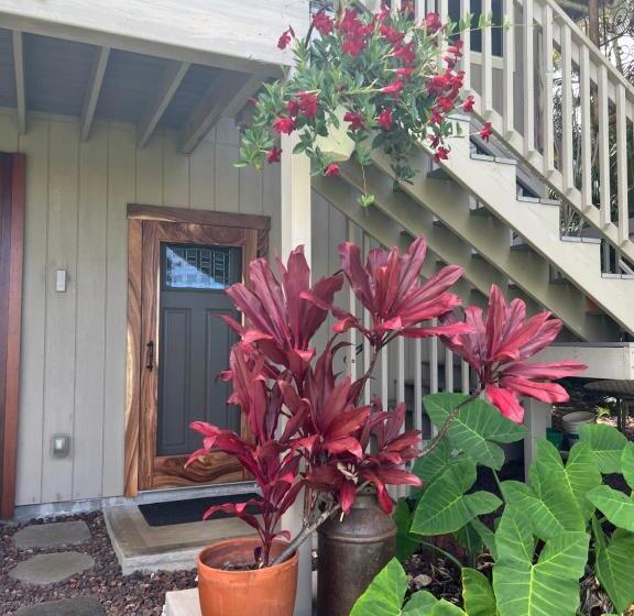 Пансион Private Ohana On The Lush Hamakua Coast With Ac