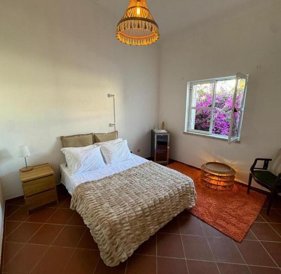 Villa 46 Hostel