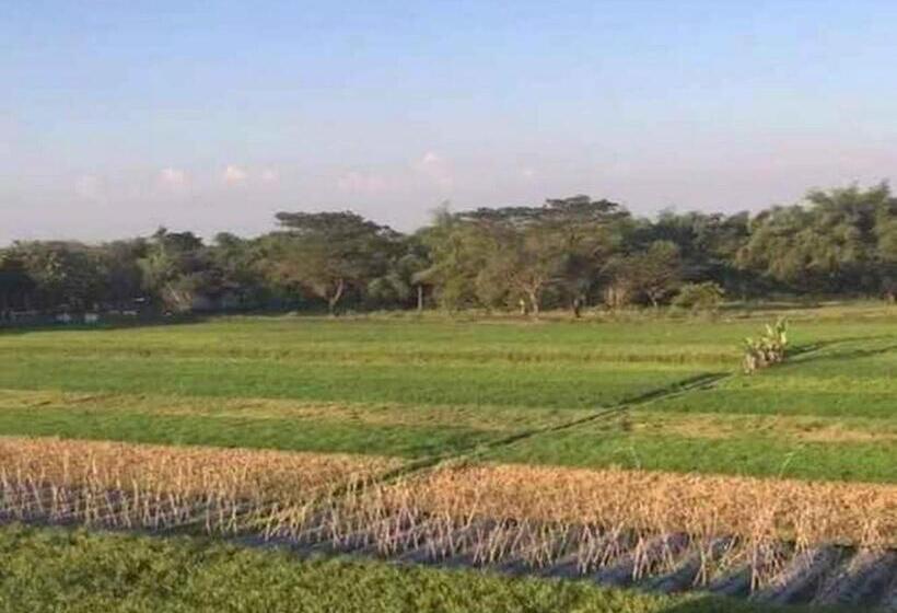בית מלון כפרי D Sawah Guesthouse Klaten Near Danau Rawa Jombor